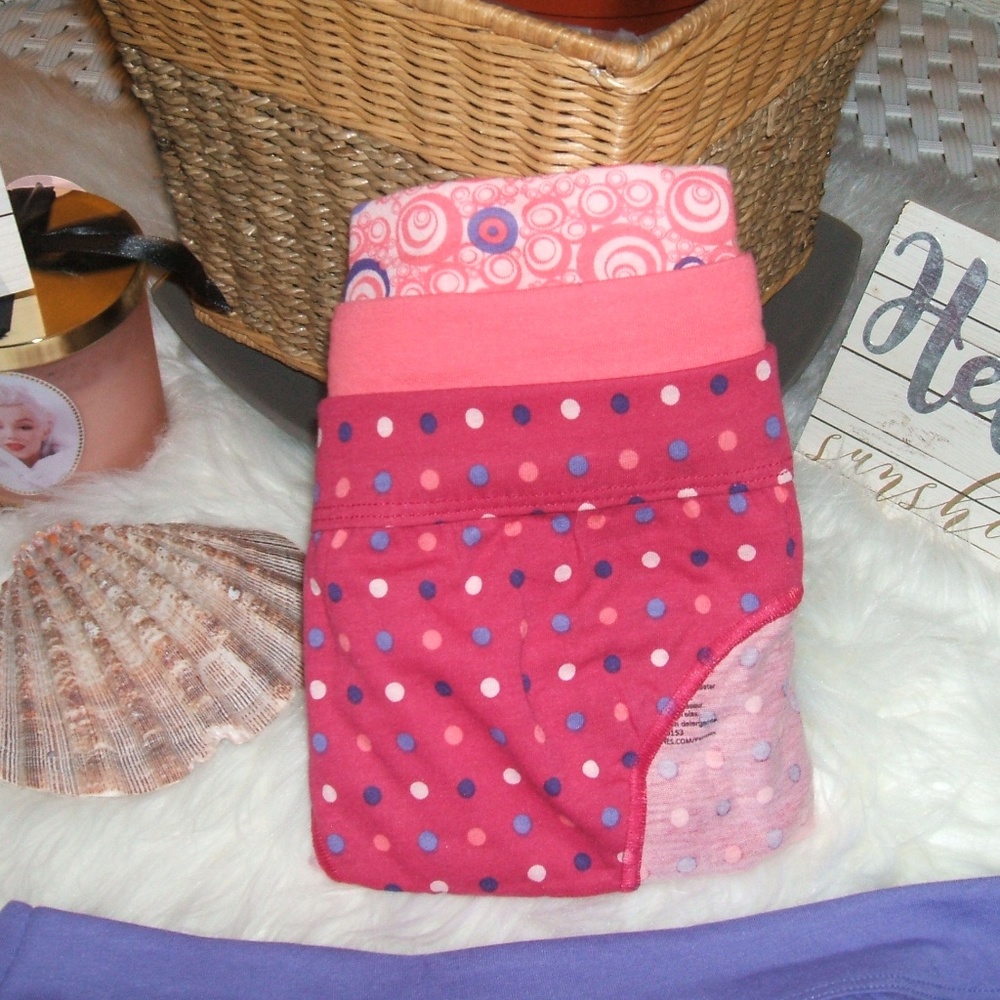 4  pack  of  hanes  woman  panties
